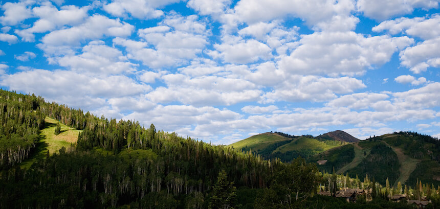 Reach for the Cloud